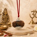 14 Mukhi Nepali Rudrkahsha - Chaudah Mukhi