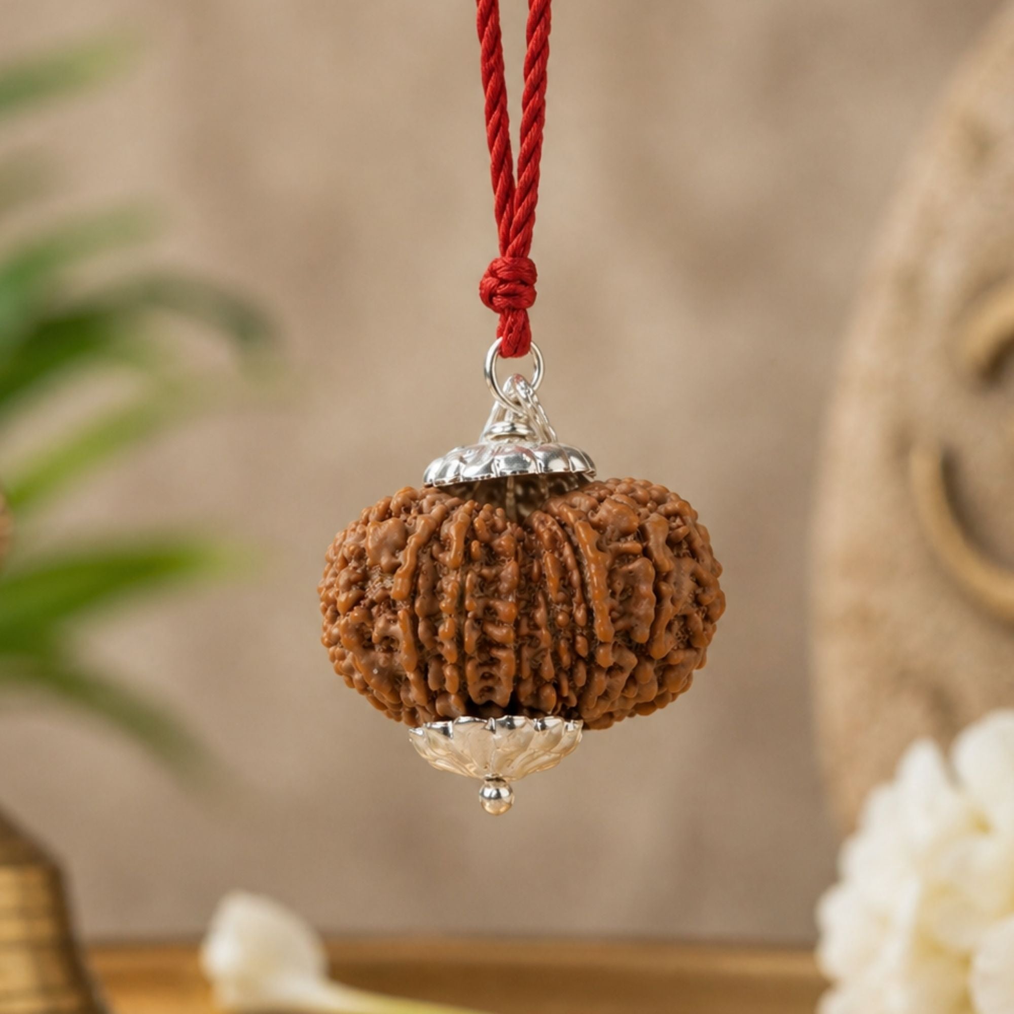 1_59655b39-8641-4a80-be65-272d4f7e4b00.jpg 13 Mukhi Nepali Rudraksha - Terah Mukhi - Image 1