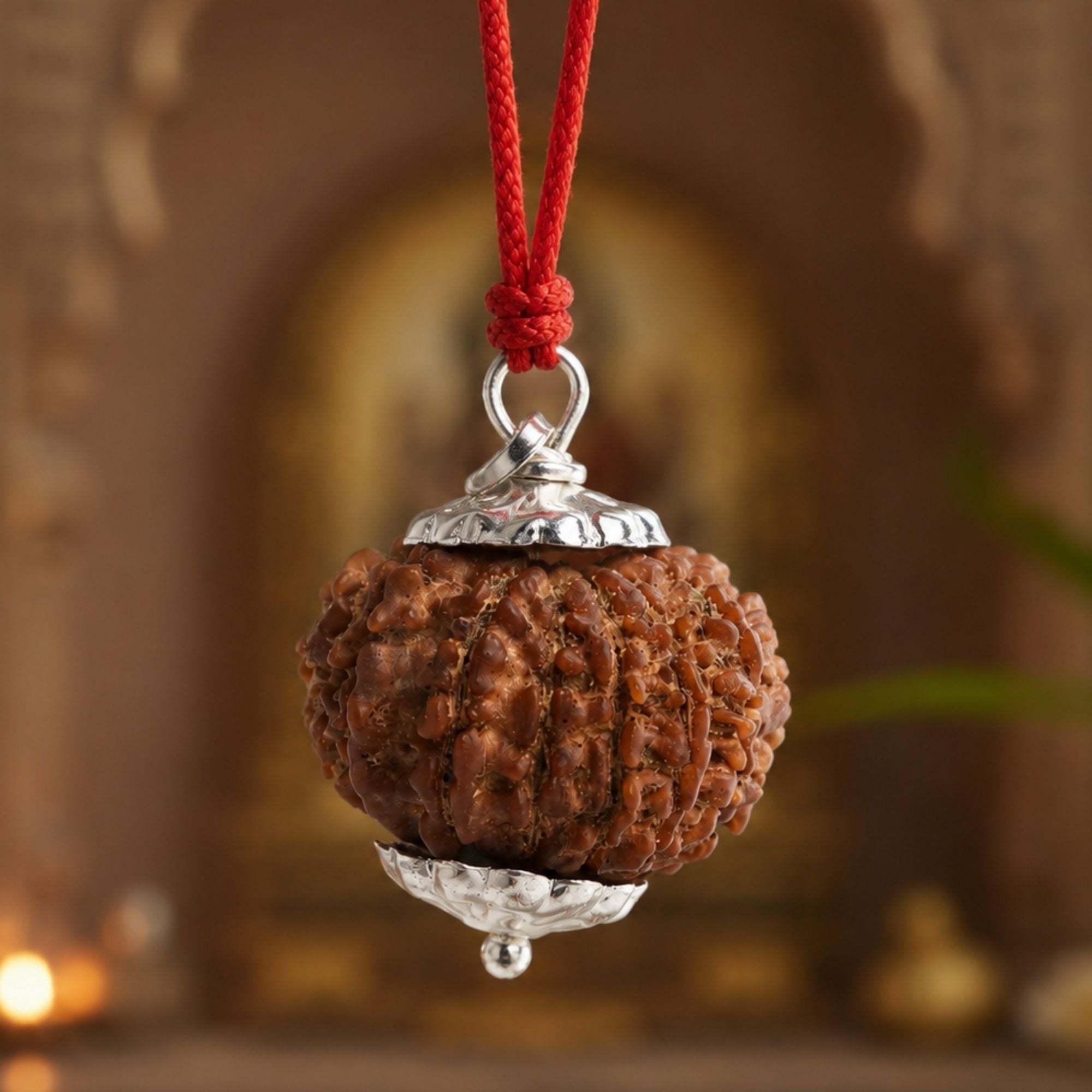 1_eaaf0233-c17c-4089-903b-a5b4caeef6fc.jpg 16 Mukhi Nepali Rudraksha - Solah Mukhi - Image 1