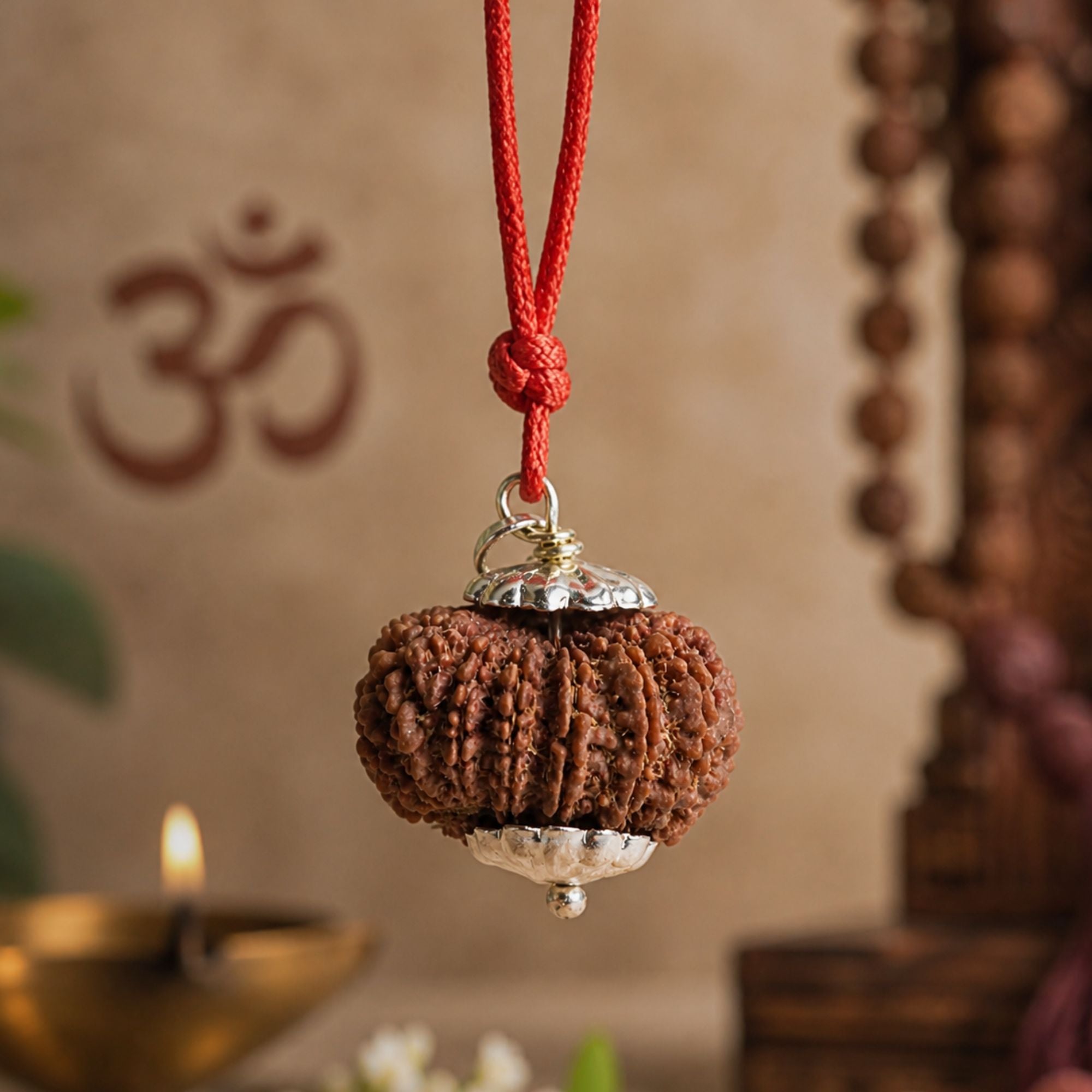 612-15mukhi_8.jpg 15 Mukhi Nepali Rudraksha - Pandrah Mukhi - Image 1