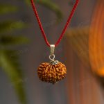12 Mukhi Nepali Rudraksha - Baarah Mukhi