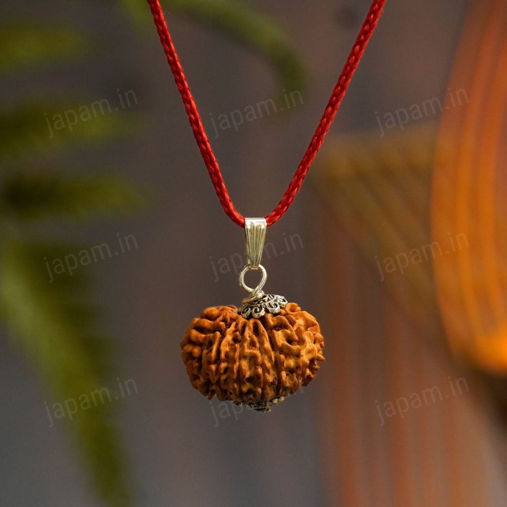 BaarahMukhi_Rudraksha_6.jpg 12 Mukhi Nepali Rudraksha - Baarah Mukhi - Image 1