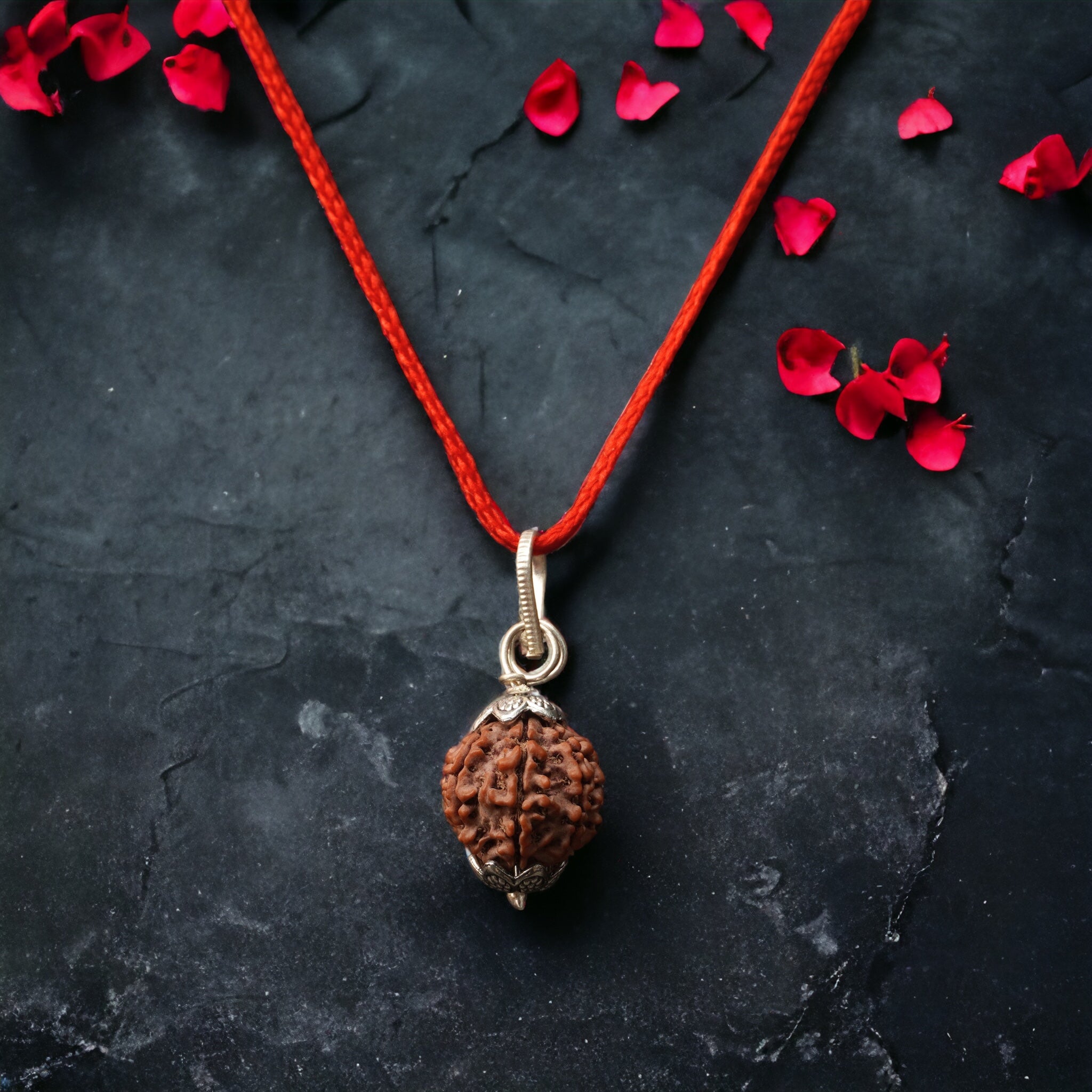IMG-2154.jpg 7 Mukhi Nepali Rudraksha - Saat Mukhi - Image 1